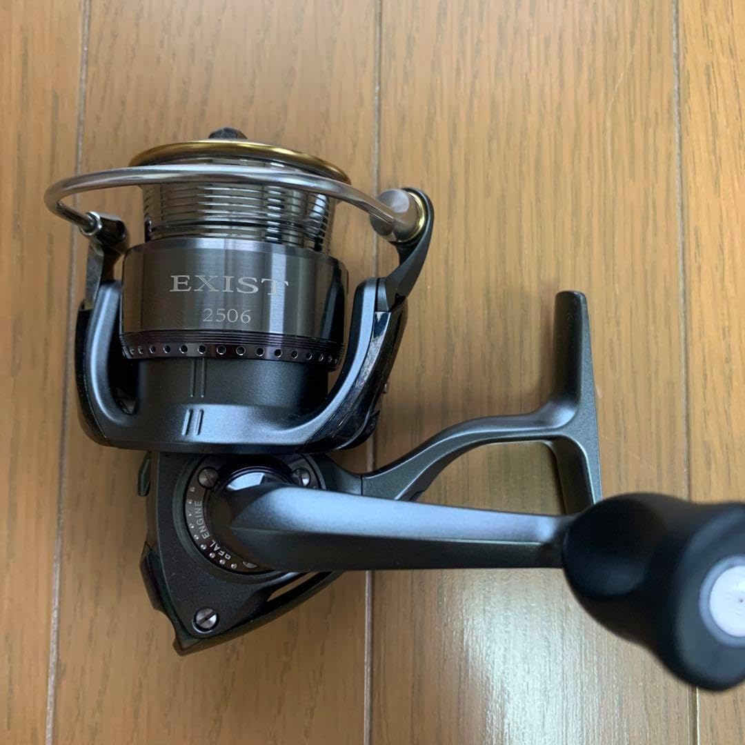 ダイワ 06 イグジスト スティーズカスタム 2506 ダイワ(Daiwa) イグジスト スティーズカスタム(EXIST STEEZ